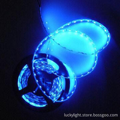Blue Flexible LED Strip with 120pcs SMD 3528 LEDs/Meter Quantity, Waterproof